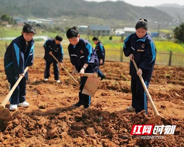 中方新建镇中学：劳动实践基地“春耕忙”