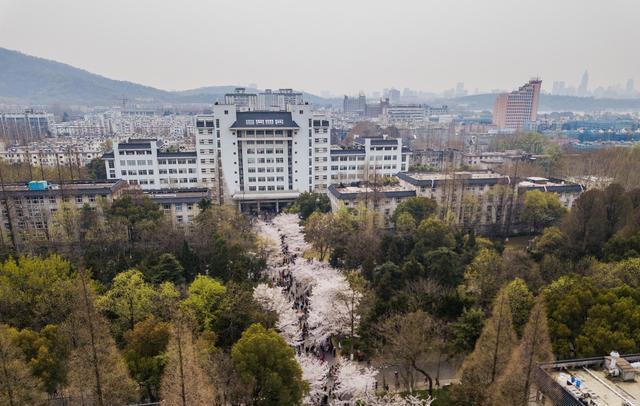 北京大学、南京大学博士毕业生拟聘南京林业大学辅导员, 这是真的