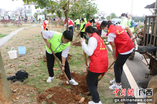 桂林理工大学与雁山镇校地结对共建开展义务植树