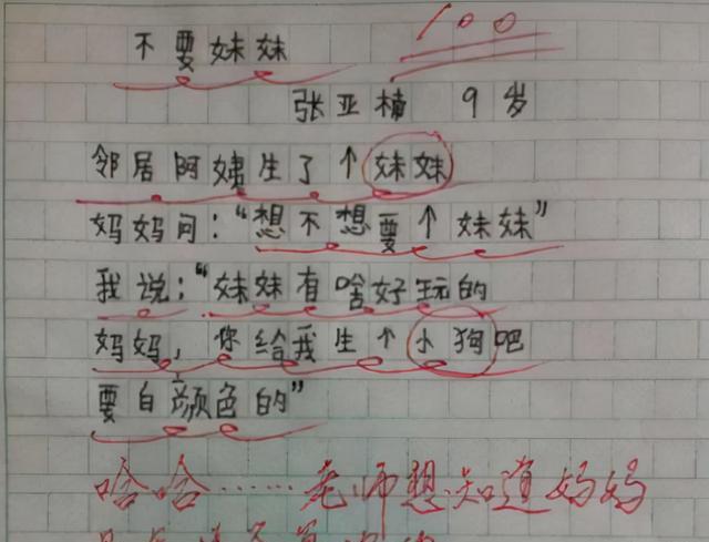 小学生将《甄嬛传》写进作文, 如果英语是你的华妃, 那谁是菀菀?