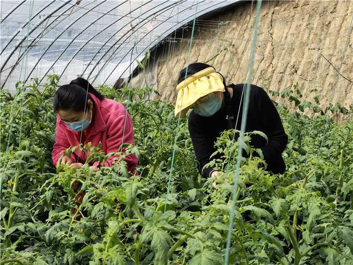 潍坊科技学院教师坚守一线保科研