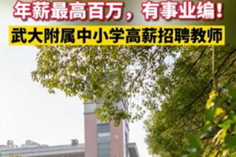 武大附属中小学教师招聘, 年薪百万还有事业编? 门槛却相当严格