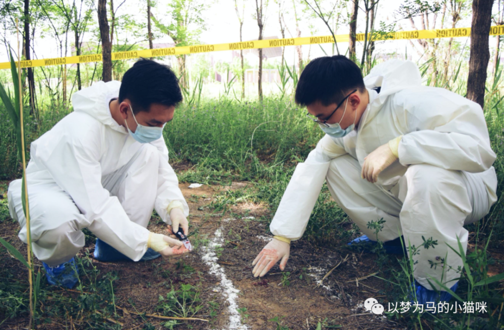 29所开设“法医学专业”的本科院校