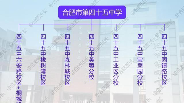 它敢说第二无人敢说第一, 详解合肥顶级学区的王者合肥第四十五中