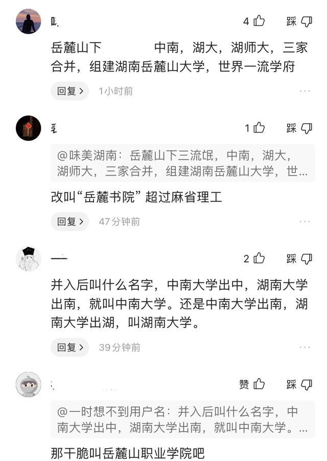 网友建议中南、湖大、师大合并组建岳麓山大学, 打造世界一流大学