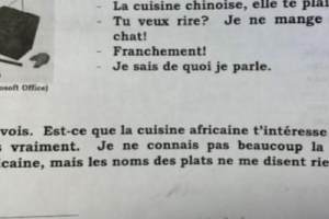 打开 加拿大高校法语教材公然辱华! 讽刺中国人吃猫、眯眯眼……