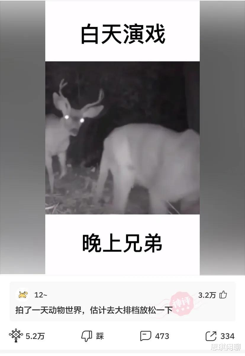 娶同学55岁的妈妈, 河南21岁大学生: 第一眼被雪白皮肤迷住了