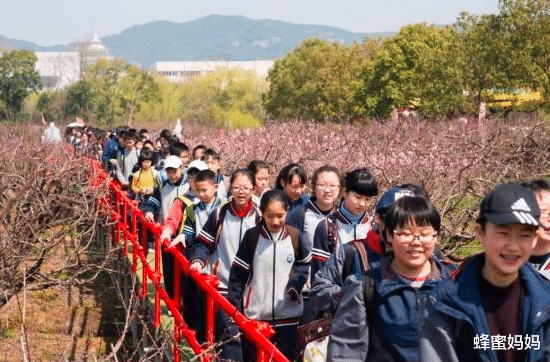 在校生将迎来6天新假期？相关部门做出回应，学生：幸福说来就来