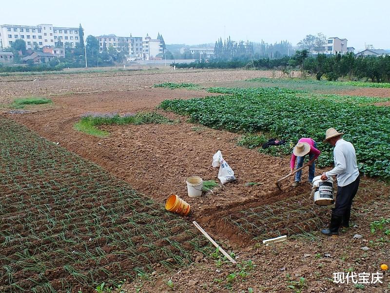 “双一流大学生下农村”本就是一件好事, 却有人替他们感到不值!