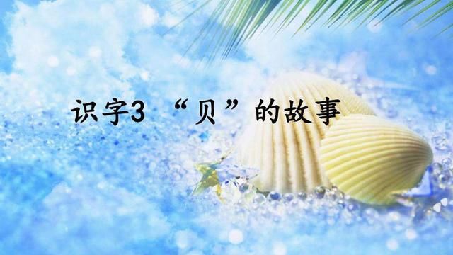 「最适合家长的复习材料」语文二年级下《“贝”的故事》复习方法