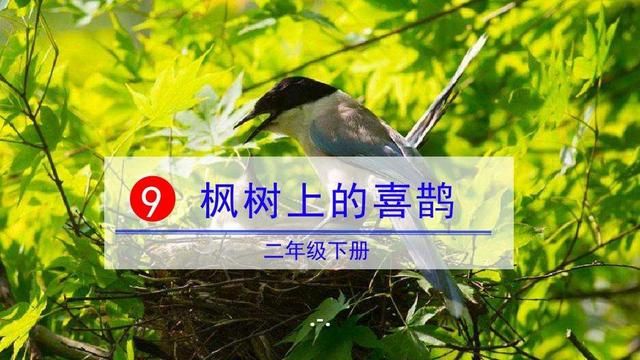 「最适合家长的复习材料」语文二年级下《枫树上的喜鹊》复习方法