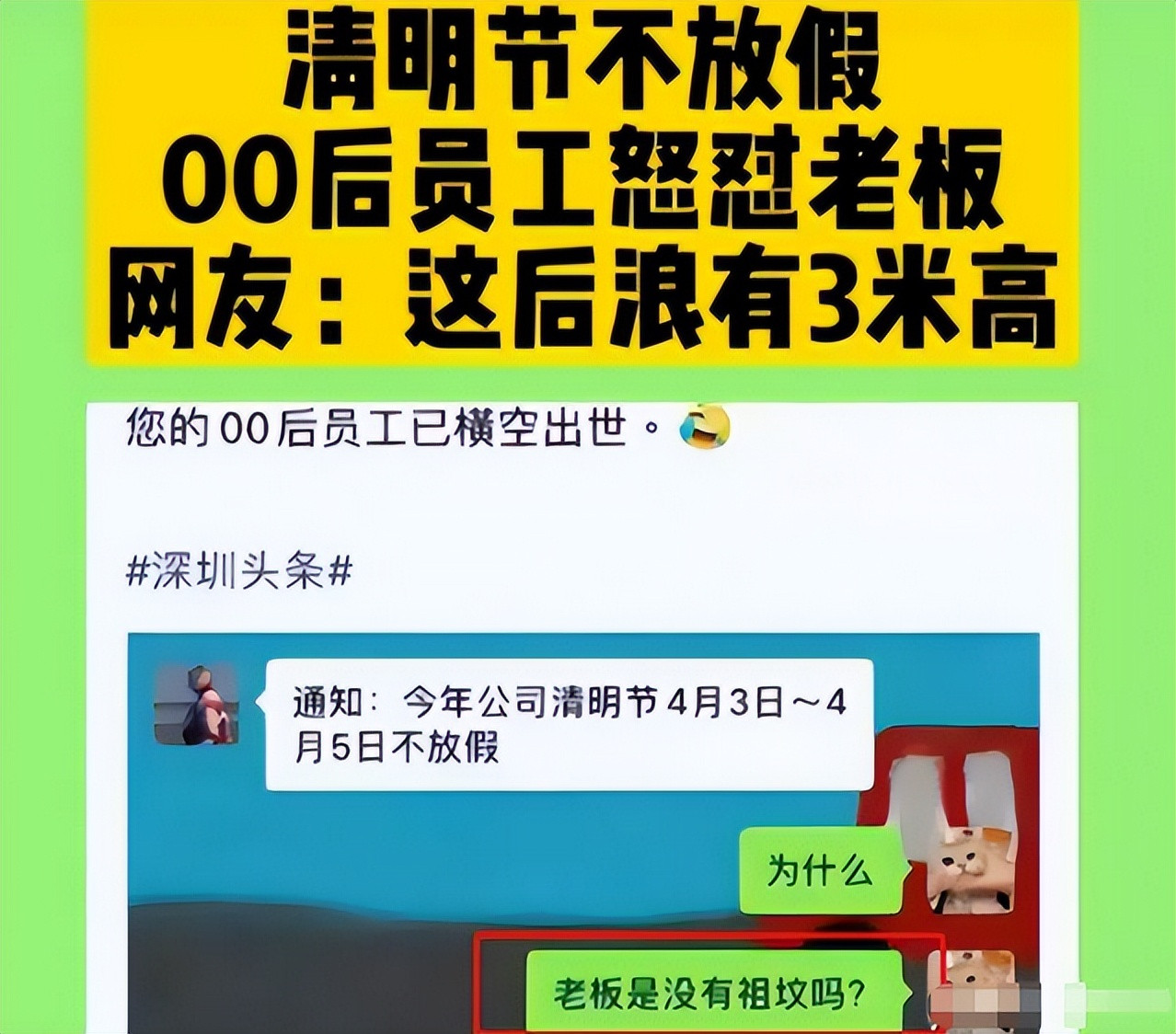 “天天朝九晚九”, 00后任性“炒老板”, 网友看法两极分化