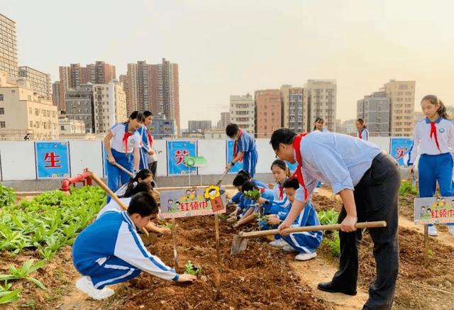 劳动课回归! 教育部要求中小学生会“煮饭”, 家长: 建议在校完成