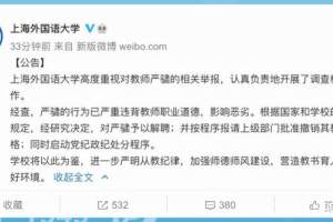 上海某大学教师，与多名学生发生不正当关系，他将承担什么责任？