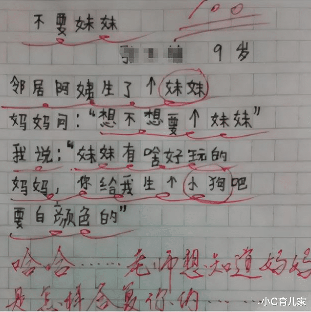 小学生作文《不要妹妹》, 妈妈气得脸通红, 网友看完后笑出声