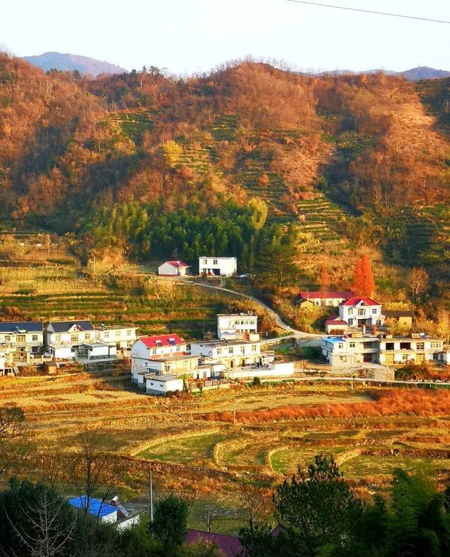 安徽岳西迎来1所大学布局, 揭牌仪式已经举行, 当地发展有望了!