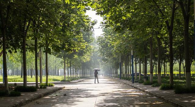 西北农林科技大学在镇子上? 它可是985、211大学, 还是最大的漏儿