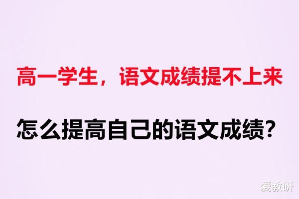 高一学生, 语文成绩提不上来, 怎么提高自己的语文成绩?