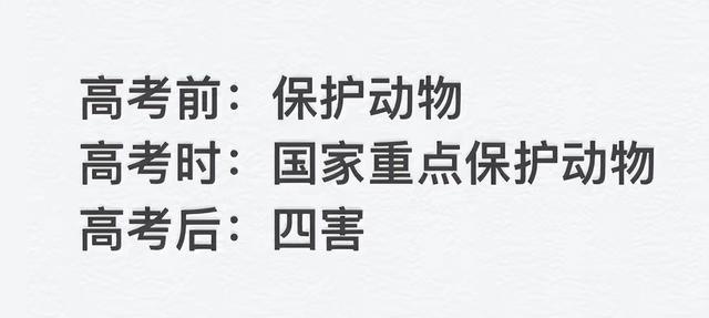 考前大儿子考后大侄子, 高三考生晒高考前后对比, 堪称人间真实