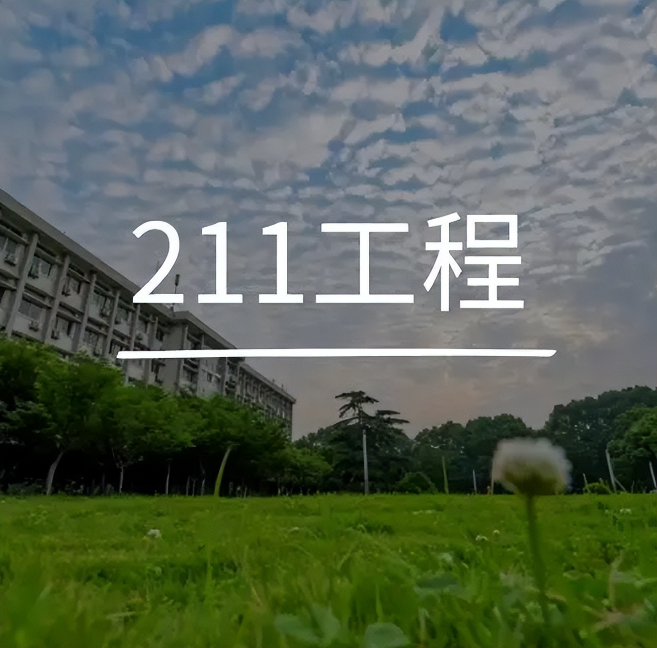 211大学里的4档分层, 能考到第二档就不错, 最后一档有些委屈