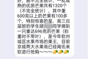 广西钦州考试院回应“芒果版高考喜报”: 已通知学校不要发