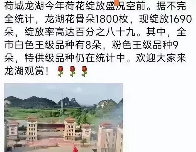 农作物“粉墨登场”, 禁止炒作状元后, 各地“花式报喜”惹人捧腹