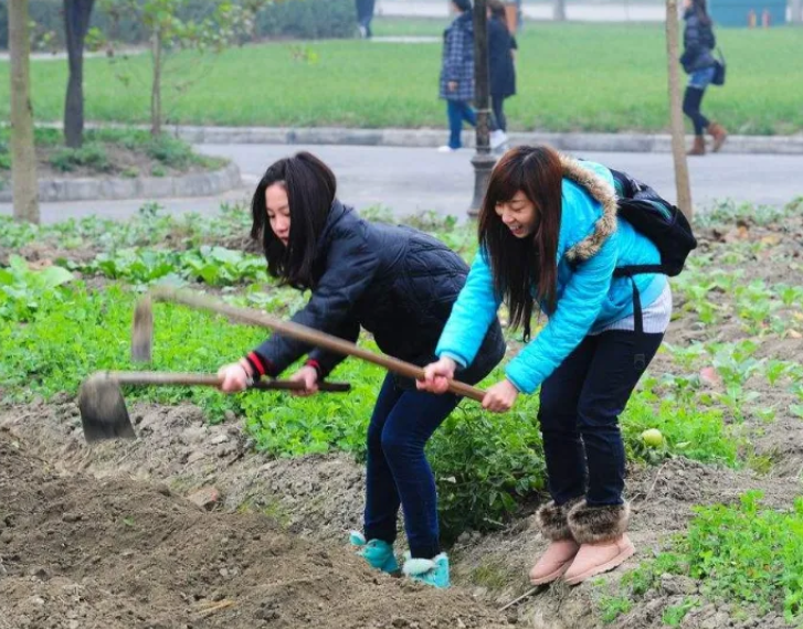 女大学生实习没找好, 每天要剥上百斤苞米, 声音都透露着“绝望”