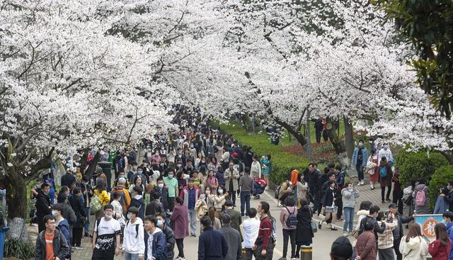 湖北双胞胎走红, 双双考入“武汉大学”, 网友: 复制粘贴般的优秀