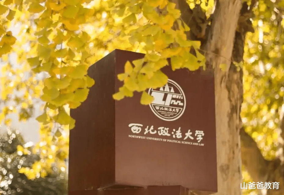 西北政法大学校长月薪流出, 实际金额让人意外, 难怪招生这么难