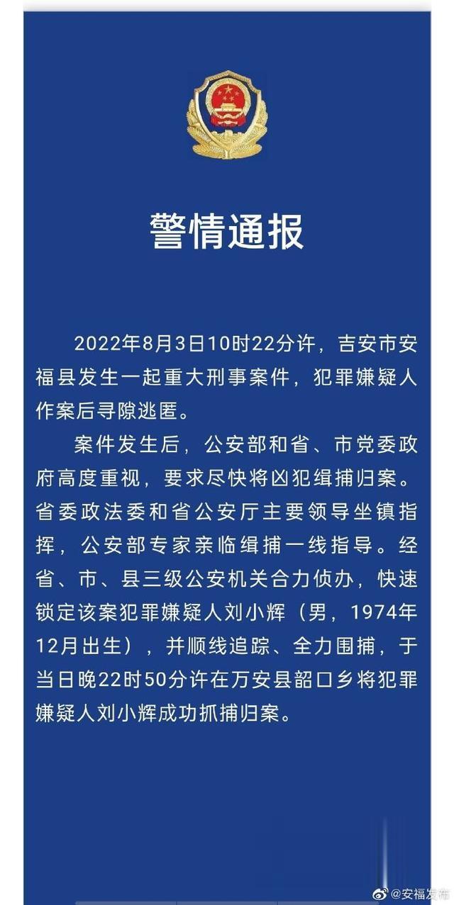 高校“点阵笔”, 监控学生写作业 / 全球首席糖果官, 月入3500颗糖