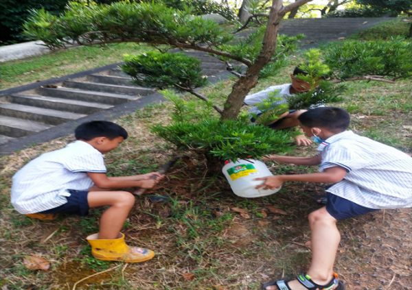 湘钢三校教育集团学生为公园小树送“清凉”