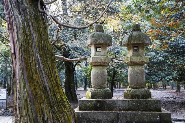 日本留学｜东京地区，理科专业排名前五的大学