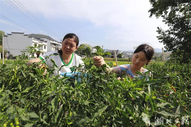 做家务成学生暑假“必修课”