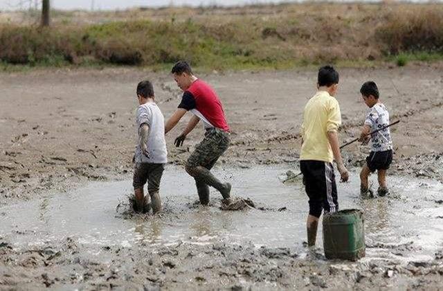 复旦经济学教授: 建议实行一妻多夫。男人们乐意吗