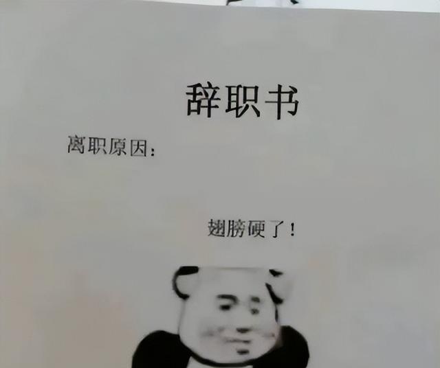 00后辞职信很硬气, 网友直言年轻人太任性, 难道一直靠家长吗?