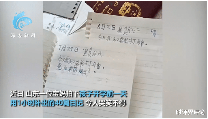 张洪泉: 小学生一天狂补40篇日记, 法无禁止即许可
