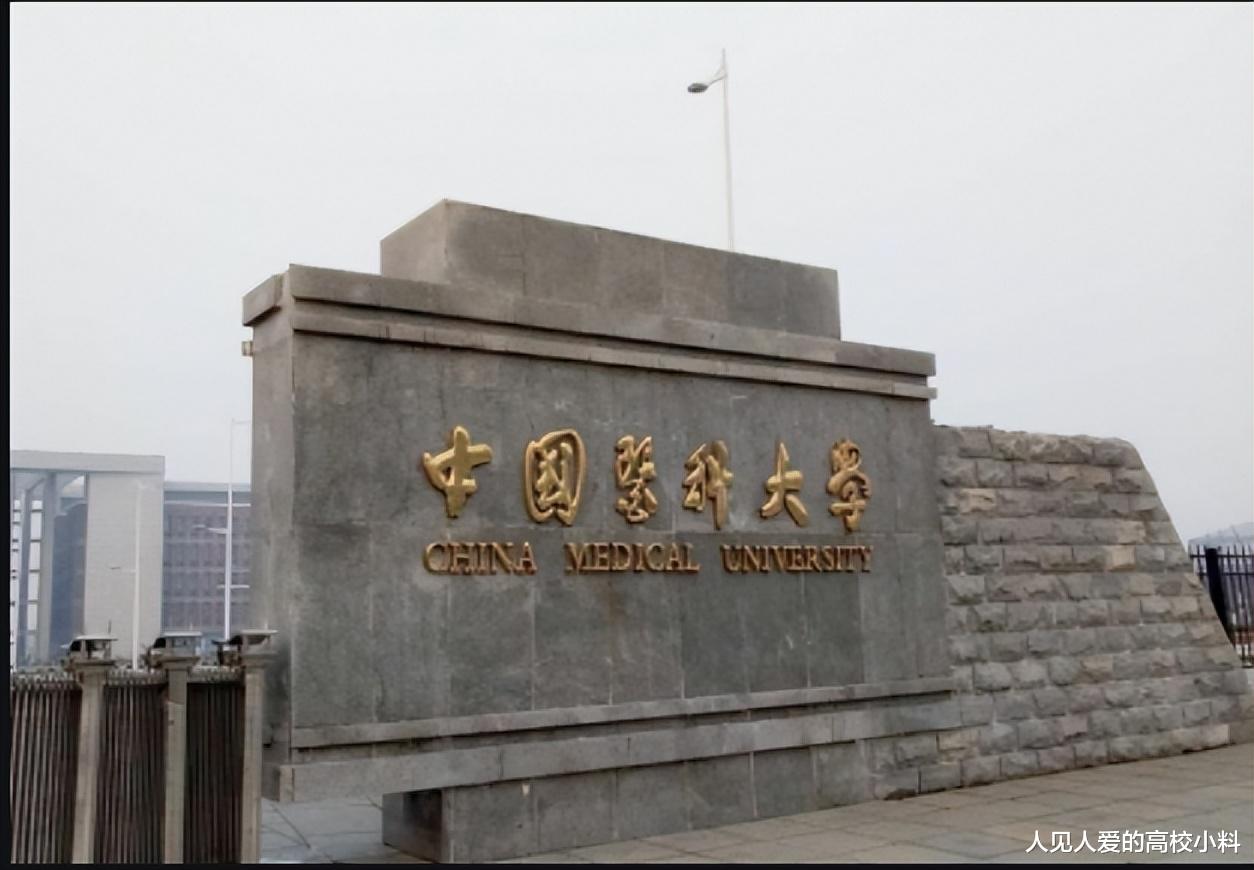 中国医科大学的临床医学学科, 缘何没有进入双一流? 实力不够?