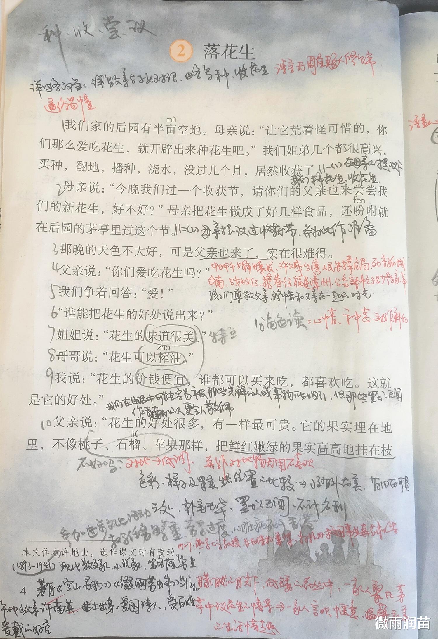 五年级上册语文《落花生》一课, 既要学写法, 也别忽视价值观教育