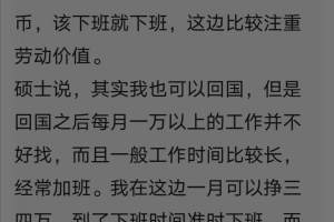上海经济学硕士: 我在德国做电工, 每月三四万人民币, 不想回国。
