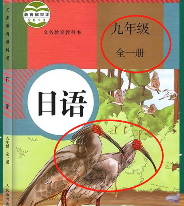 人教版初中日语教材也翻车? “731”数字赫然在列, 叫人不寒而栗