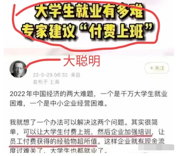 “建议大学生付费上班！”现在的专家建议越来越离谱了