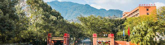 四川外国语大学: 2022五大学院录取占54.3%, 重庆本地录取约六成