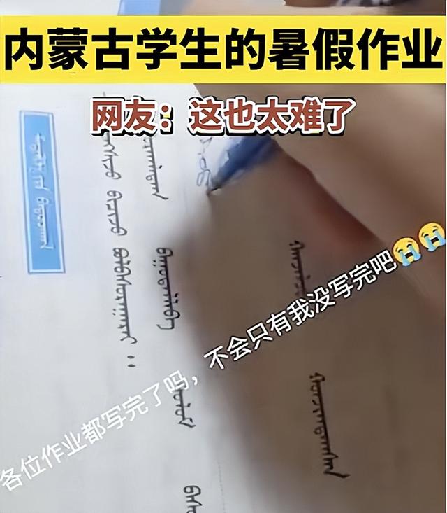 内蒙古学生补作业走红, 网友直呼太难写了, 抄也抄不明白