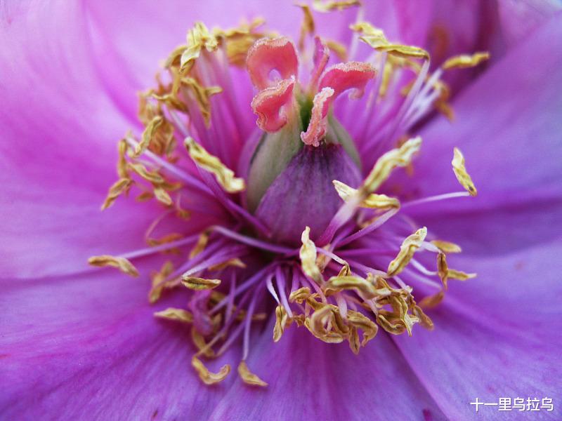 教师节一束鲜花都让全民不满 是不是只有教师乞讨才让所有人满意?