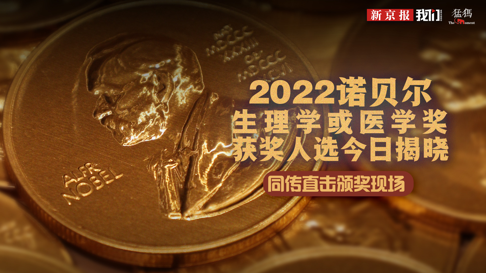 2022诺贝尔生理学或医学奖获奖人选今日揭晓 同传颁奖现场