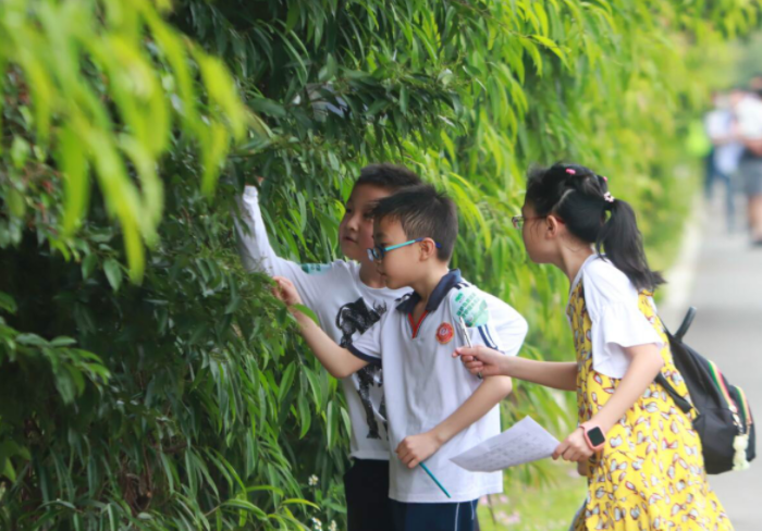 补课班凉了“教育内卷”却没停, 新的竞争悄然而生, 家长坐立难安