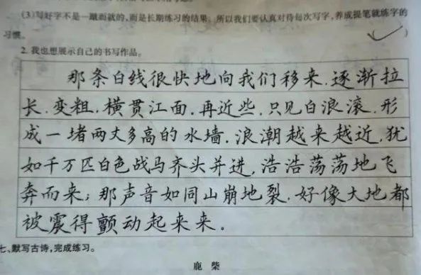 乡村女教师“批改学生作业”走红, 字迹如印刷体!