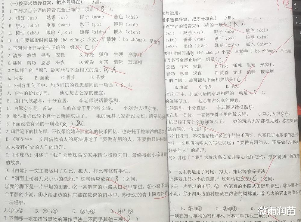 有些学生小学阶段学不好语文? 别人在迎“减”而上, 你在躺平摆烂