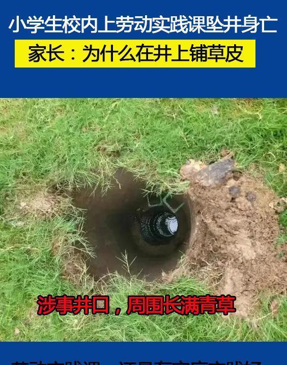 劳动实践课! 小学生在校内上坠井身亡, 家长: 为什么井上铺草皮