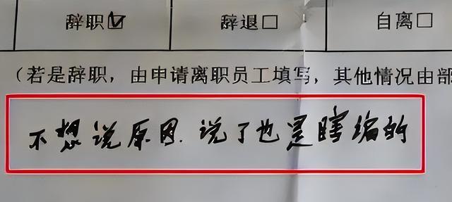 我管你同意不同意, 毕业生“傲娇”辞职信走红, 就连理由都懒得编